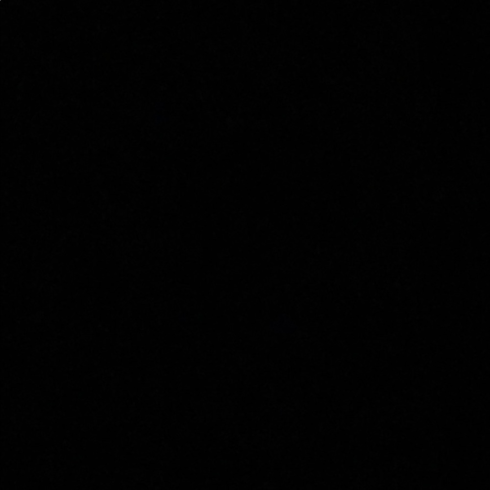 Meet your Posher, Savannah